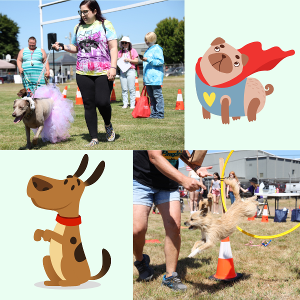 poochella costume and tricks