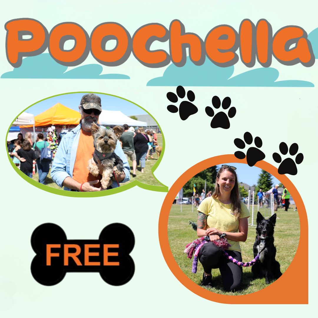 Poochella annual event Free to attend on the first Saturday in June