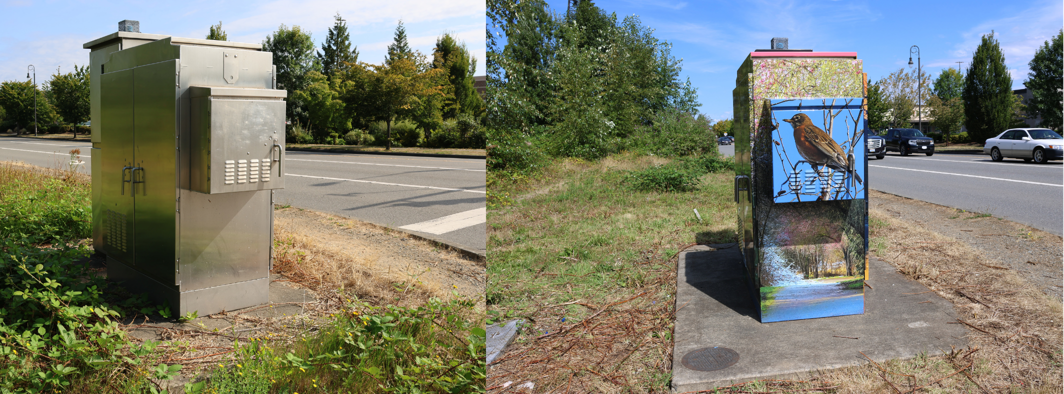 Utility cabinet wrap at 169th Pl NE & 27th Ave NE, Marysville WA 