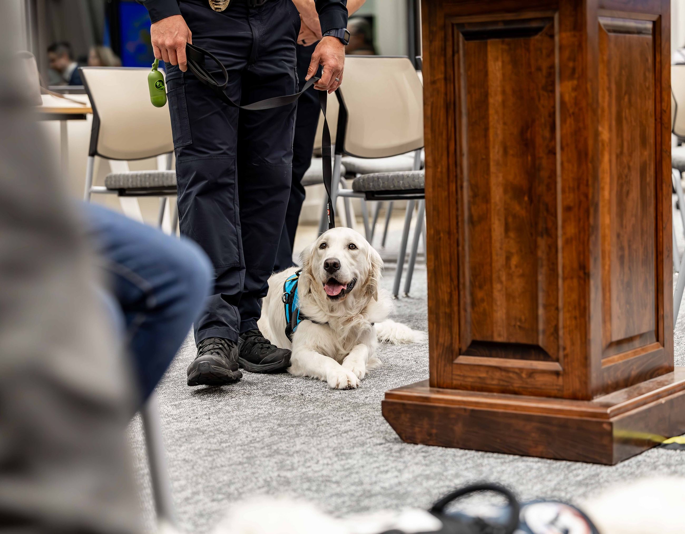 MPD Facility Dog Molly's swearing in ceremony 1