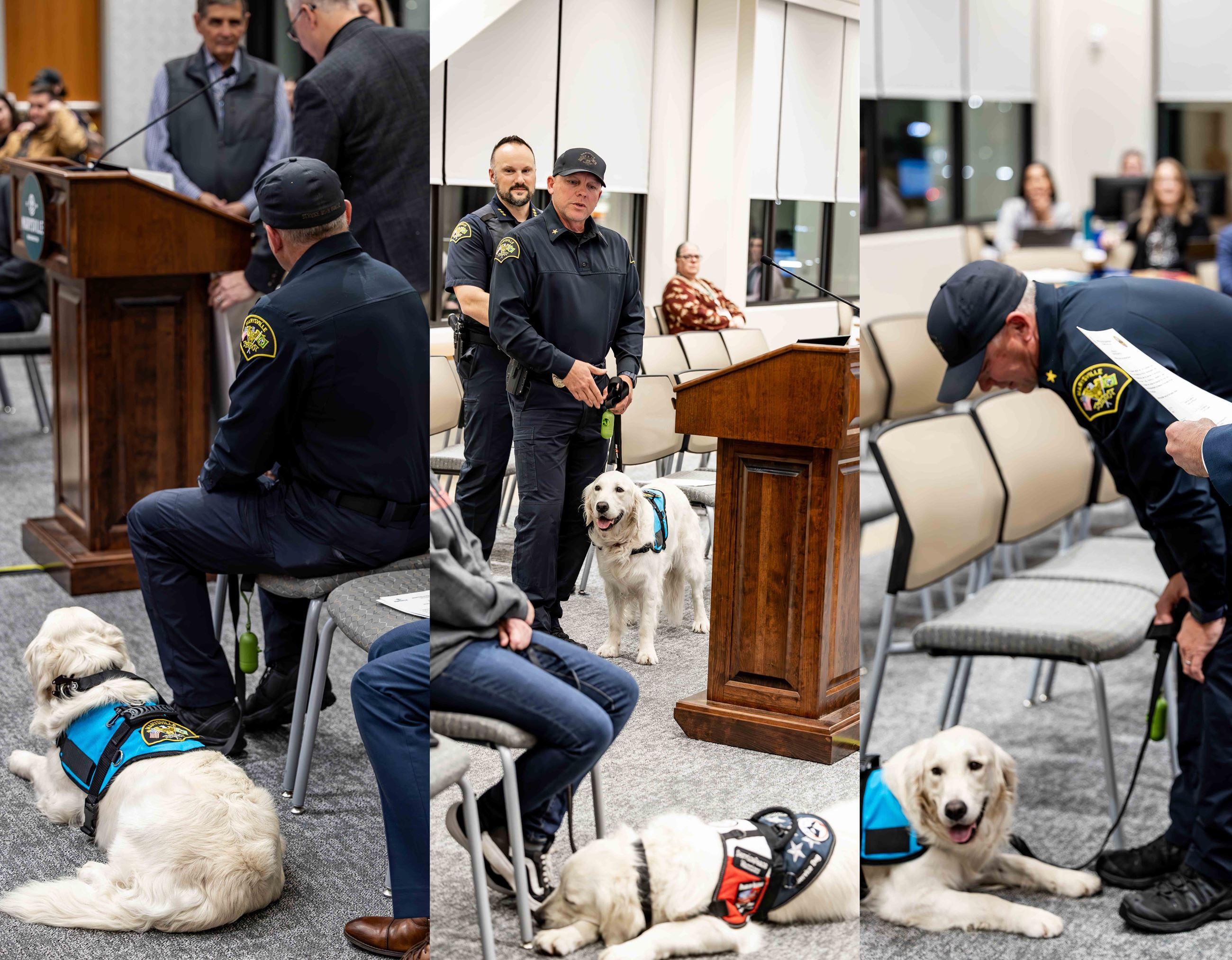 MPD Facility Dog Molly's swearing in ceremony 3