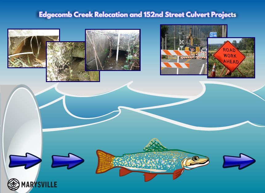 Edgecomb Creek fish passage graphic
