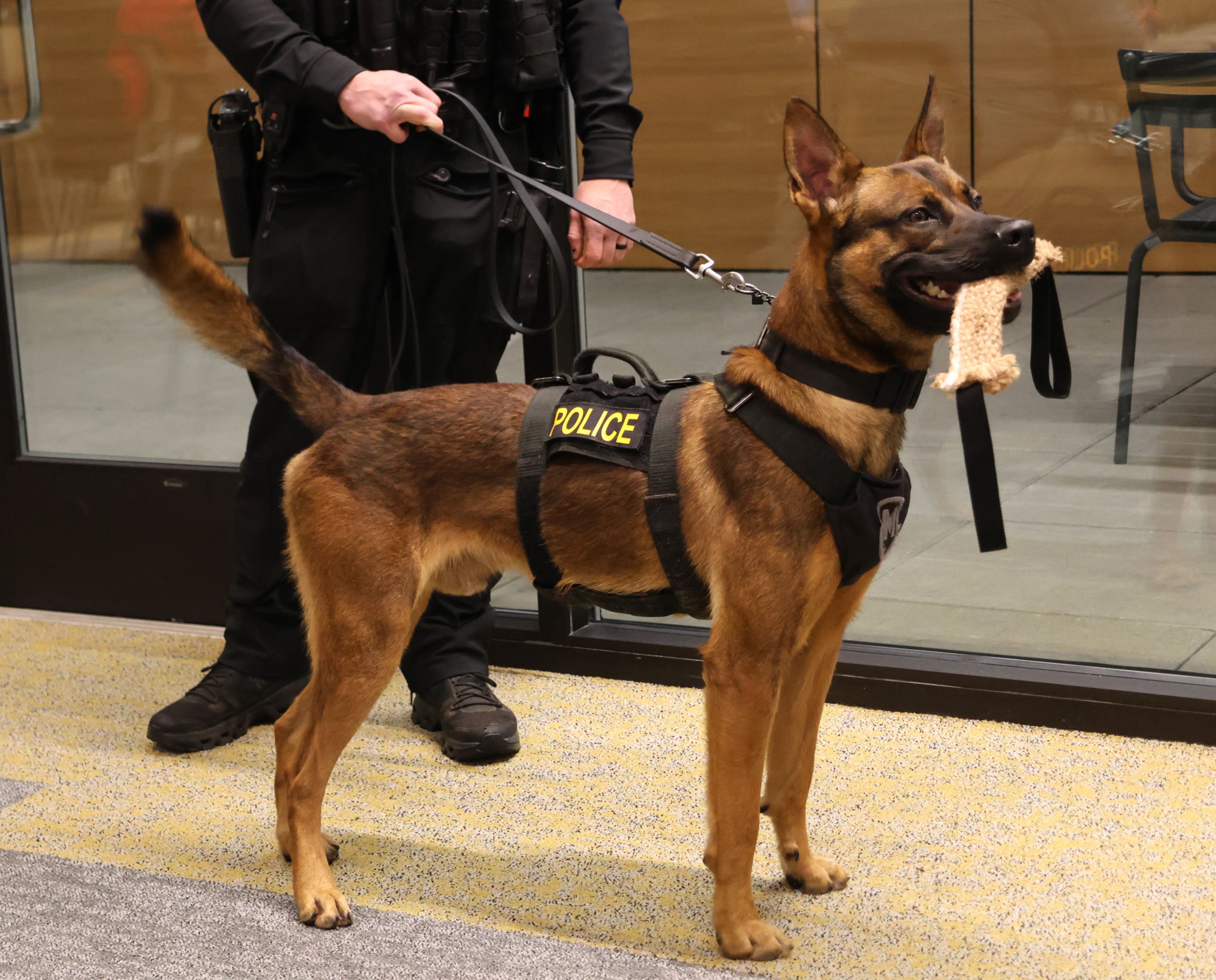 K-9 Kona (2)