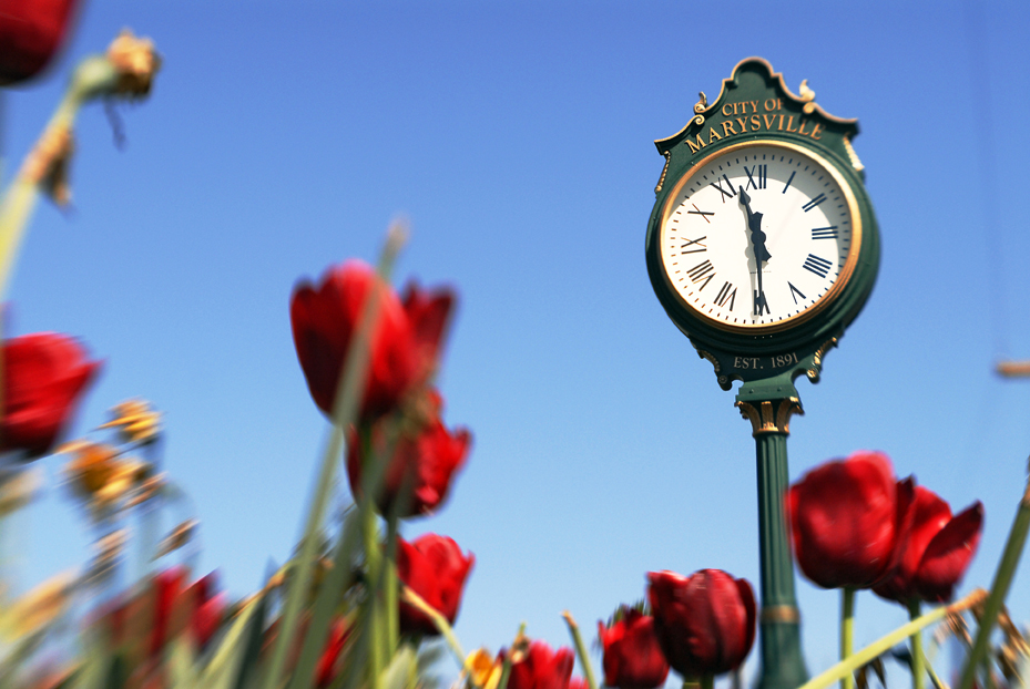 Ebey Waterfront Clock