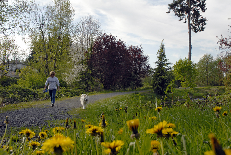 Strolling North Pointe Park Trail